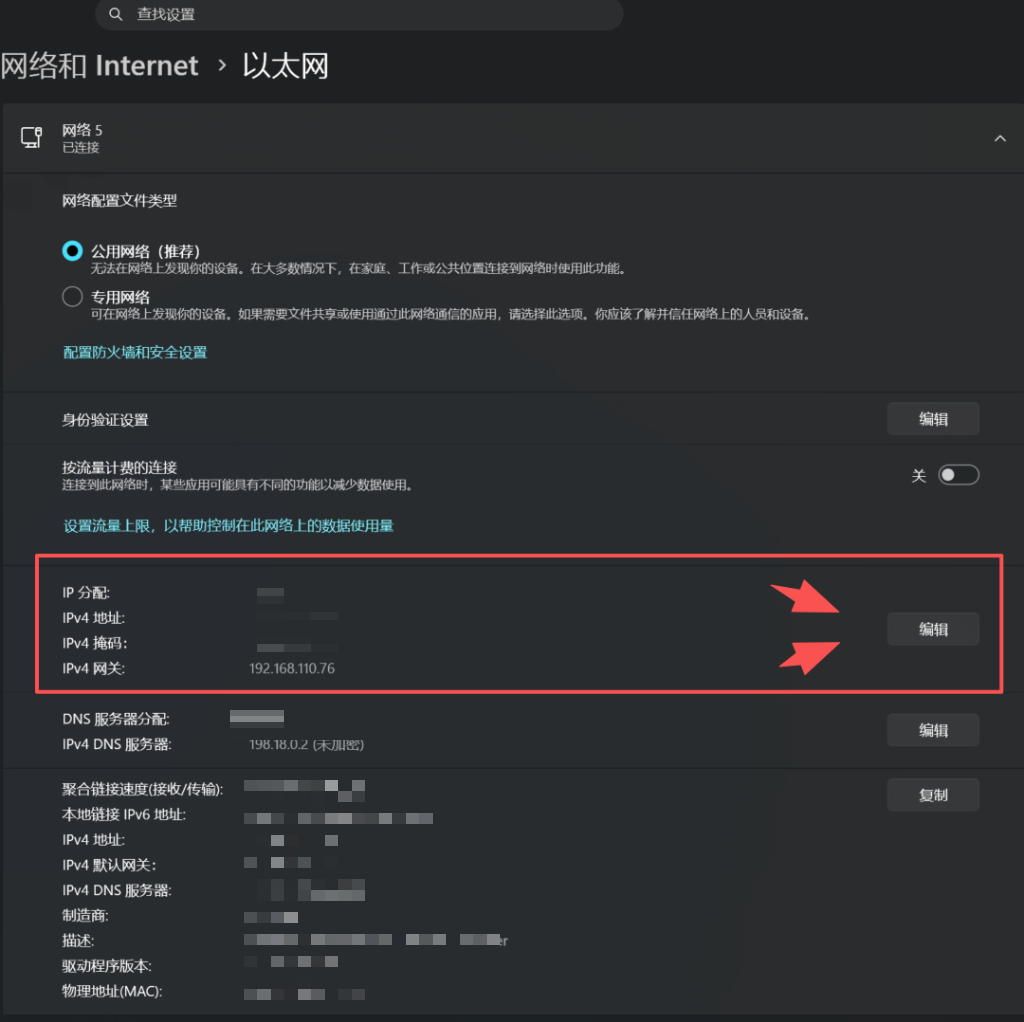 编辑 IP 和 DNS 设置指示